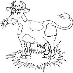 ぬりえページ: 牛 (動物) #13233 - 無料の印刷可能なぬりえページ