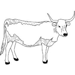 ぬりえページ: 牛 (動物) #13244 - 無料の印刷可能なぬりえページ
