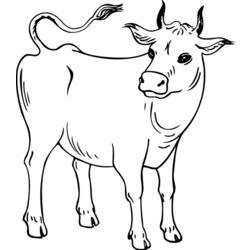 ぬりえページ: 牛 (動物) #13248 - 無料の印刷可能なぬりえページ