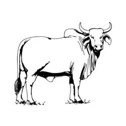 ぬりえページ: 牛 (動物) #13260 - 無料の印刷可能なぬりえページ