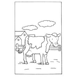ぬりえページ: 牛 (動物) #13310 - 無料の印刷可能なぬりえページ