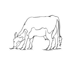ぬりえページ: 牛 (動物) #13347 - 無料の印刷可能なぬりえページ