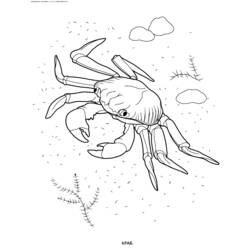 ぬりえページ: カニ (動物) #4659 - 無料の印刷可能なぬりえページ