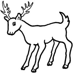 ぬりえページ: 鹿 (動物) #2561 - 無料の印刷可能なぬりえページ