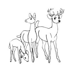 ぬりえページ: 鹿 (動物) #2563 - 無料の印刷可能なぬりえページ