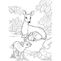 ぬりえページ: 鹿 (動物) #2565 - 無料の印刷可能なぬりえページ