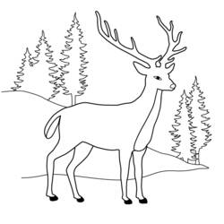 ぬりえページ: 鹿 (動物) #2567 - 無料の印刷可能なぬりえページ