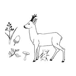 ぬりえページ: 鹿 (動物) #2569 - 無料の印刷可能なぬりえページ