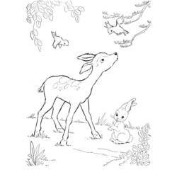 ぬりえページ: 鹿 (動物) #2574 - 無料の印刷可能なぬりえページ