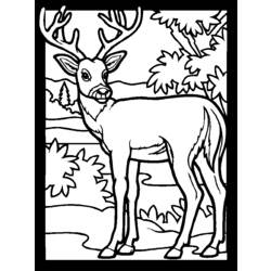 ぬりえページ: 鹿 (動物) #2577 - 無料の印刷可能なぬりえページ