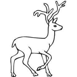 ぬりえページ: 鹿 (動物) #2578 - 無料の印刷可能なぬりえページ