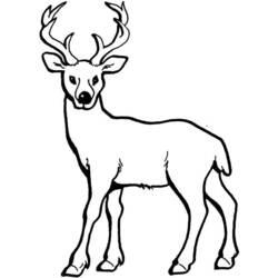 ぬりえページ: 鹿 (動物) #2581 - 無料の印刷可能なぬりえページ