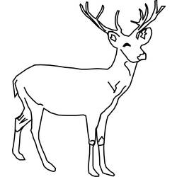 ぬりえページ: 鹿 (動物) #2582 - 無料の印刷可能なぬりえページ