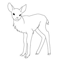 ぬりえページ: 鹿 (動物) #2585 - 無料の印刷可能なぬりえページ