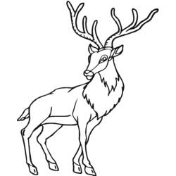 ぬりえページ: 鹿 (動物) #2587 - 無料の印刷可能なぬりえページ