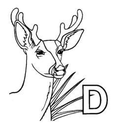 ぬりえページ: 鹿 (動物) #2588 - 無料の印刷可能なぬりえページ