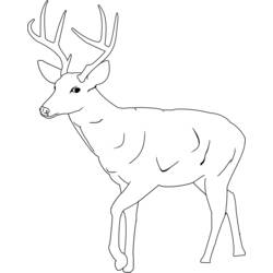 ぬりえページ: 鹿 (動物) #2591 - 無料の印刷可能なぬりえページ