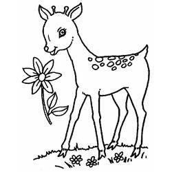 ぬりえページ: 鹿 (動物) #2592 - 無料の印刷可能なぬりえページ