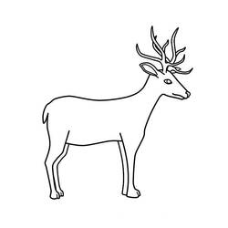 ぬりえページ: 鹿 (動物) #2609 - 無料の印刷可能なぬりえページ