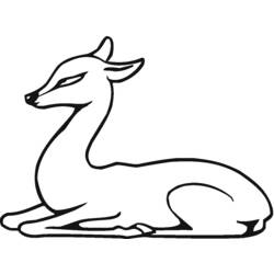 ぬりえページ: 鹿 (動物) #2628 - 無料の印刷可能なぬりえページ