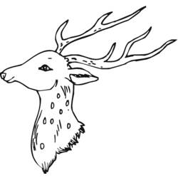 ぬりえページ: 鹿 (動物) #2633 - 無料の印刷可能なぬりえページ
