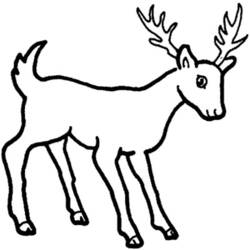 ぬりえページ: 鹿 (動物) #2650 - 無料の印刷可能なぬりえページ