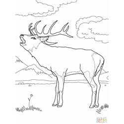 ぬりえページ: 鹿 (動物) #2653 - 無料の印刷可能なぬりえページ