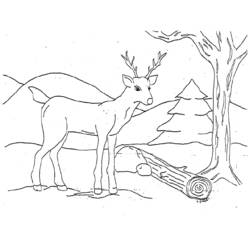ぬりえページ: 鹿 (動物) #2658 - 無料の印刷可能なぬりえページ