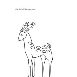 ぬりえページ: 鹿 (動物) #2672 - 無料の印刷可能なぬりえページ