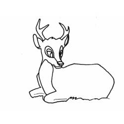 ぬりえページ: 鹿 (動物) #2677 - 無料の印刷可能なぬりえページ