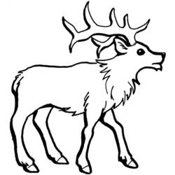 ぬりえページ: 鹿 (動物) #2681 - 無料の印刷可能なぬりえページ
