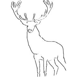 ぬりえページ: 鹿 (動物) #2682 - 無料の印刷可能なぬりえページ