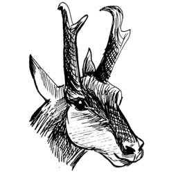 ぬりえページ: 鹿 (動物) #2701 - 無料の印刷可能なぬりえページ