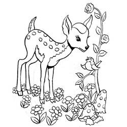 ぬりえページ: 鹿 (動物) #2723 - 無料の印刷可能なぬりえページ