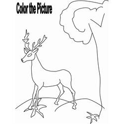 ぬりえページ: 鹿 (動物) #2725 - 無料の印刷可能なぬりえページ