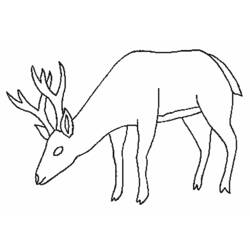 ぬりえページ: 鹿 (動物) #2732 - 無料の印刷可能なぬりえページ