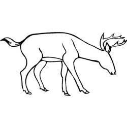 ぬりえページ: 鹿 (動物) #2739 - 無料の印刷可能なぬりえページ