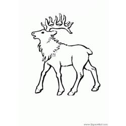 ぬりえページ: 鹿 (動物) #2747 - 無料の印刷可能なぬりえページ