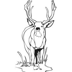 ぬりえページ: 鹿 (動物) #2750 - 無料の印刷可能なぬりえページ