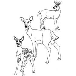 ぬりえページ: 鹿 (動物) #2760 - 無料の印刷可能なぬりえページ