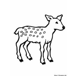 ぬりえページ: ドウ (動物) #1148 - 無料の印刷可能なぬりえページ