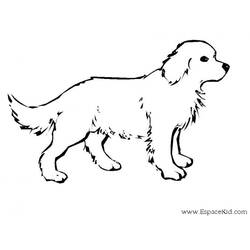 ぬりえページ: 犬 (動物) #14 - 無料の印刷可能なぬりえページ