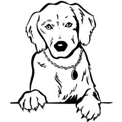 ぬりえページ: 犬 (動物) #18 - 無料の印刷可能なぬりえページ