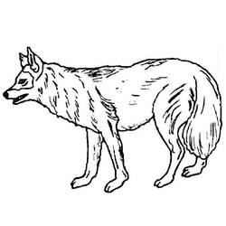 ぬりえページ: 犬 (動物) #21 - 無料の印刷可能なぬりえページ