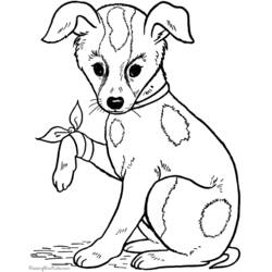 ぬりえページ: 犬 (動物) #27 - 無料の印刷可能なぬりえページ