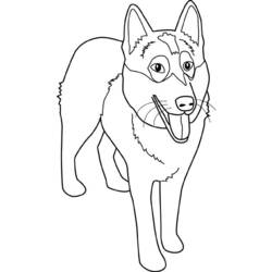 ぬりえページ: 犬 (動物) #30 - 無料の印刷可能なぬりえページ
