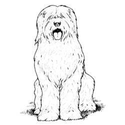 ぬりえページ: 犬 (動物) #3098 - 無料の印刷可能なぬりえページ