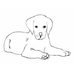 ぬりえページ: 犬 (動物) #3108 - 無料の印刷可能なぬりえページ