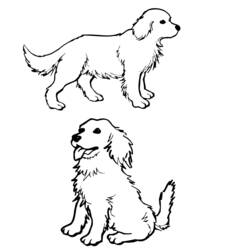 ぬりえページ: 犬 (動物) #3118 - 無料の印刷可能なぬりえページ