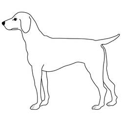 ぬりえページ: 犬 (動物) #3123 - 無料の印刷可能なぬりえページ